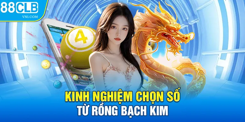 Kinh nghiệm chọn số từ rồng bạch kim